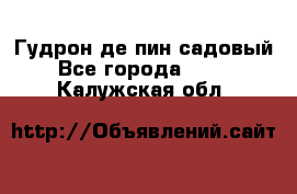 Гудрон де пин садовый - Все города  »    . Калужская обл.